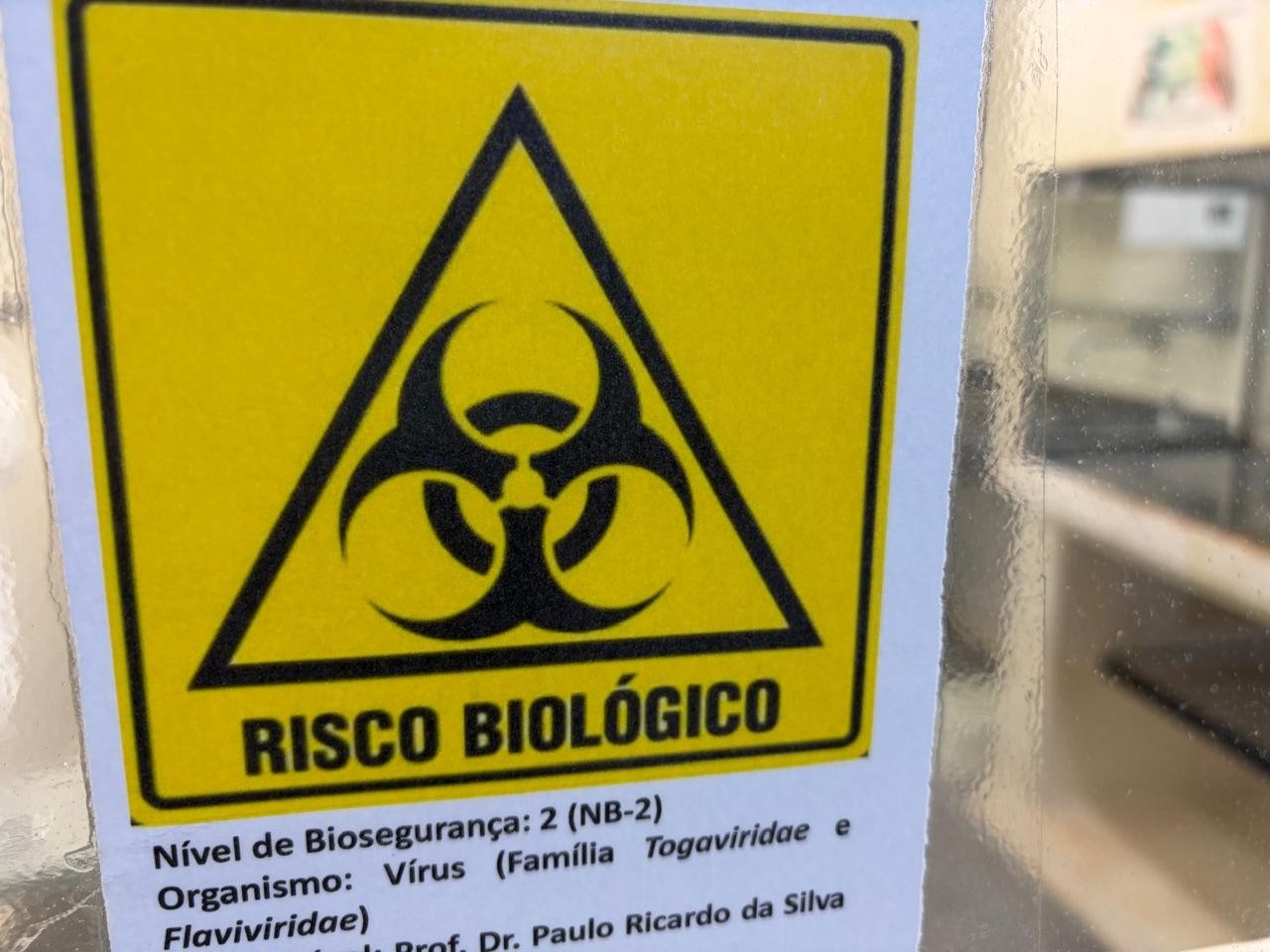 quais-virus-perigosos-sao-mantidos-em-laboratorios-de-universidades?-entenda-por-que-cientistas-armazenam-microrganismos-vivos