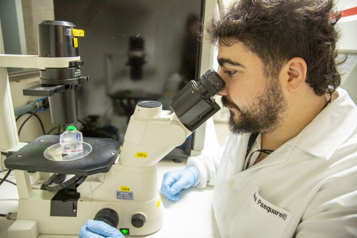 estudo-da-unb-em-fase-inicial-ve-omega-3-como-possivel-aliado-no-combate-ao-cancer-de-ovario