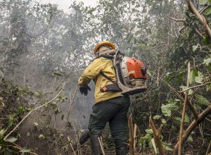 combate-a-incendios-florestais-podem-ter-recursos-do-fundo-amazonia