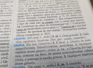 aumentativos-‘incomuns’-de-cao,-gato-e-nariz-viralizam;-voce-acertaria?-faca-o-quiz-e-descubra