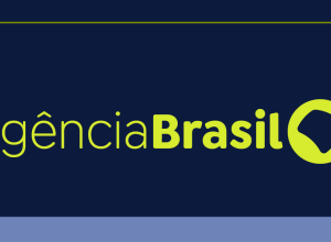 pm-ambiental-fecha-dez-fabricas-clandestinas-de-baloes-em-sao-paulo