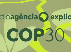 cop30:-descubra-qual-e-o-papel-do-brasil-nas-negociacoes-sobre-o-clima