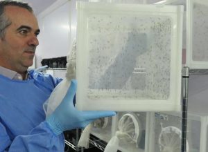brasileiro-criador-do-“aedes”-que-bloqueia-dengue-e-eleito-pela-nature