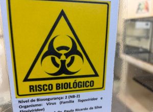 quais-virus-perigosos-sao-mantidos-em-laboratorios-de-universidades?-entenda-por-que-cientistas-armazenam-microrganismos-vivos