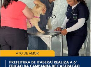 WhatsApp Image 2025-10-07 at 4.38.12 PM